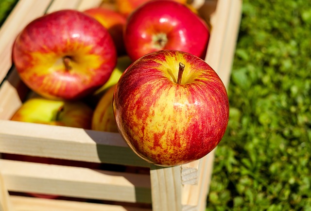 Przechowywanie Jabłek w Chłodni: Kluczowe Zalety i Metody Zachowania Świeżości