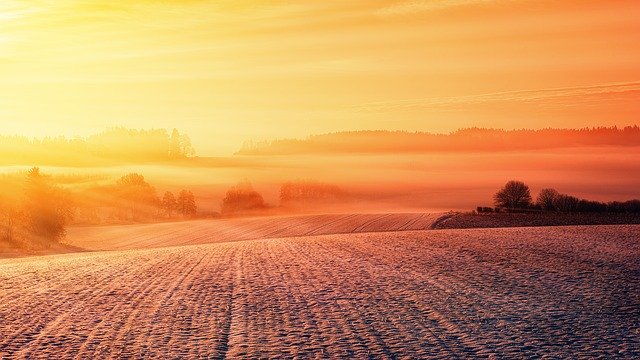 Zwalczanie zagrożeń: brunatna plamistość liści buraka - jak efektywnie ochronić plantację